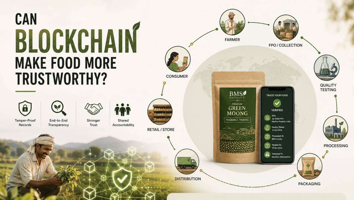 Can Blockchain Make Food More Trustworthy? How Technology Is Bringing Transparency From Farm to Fork