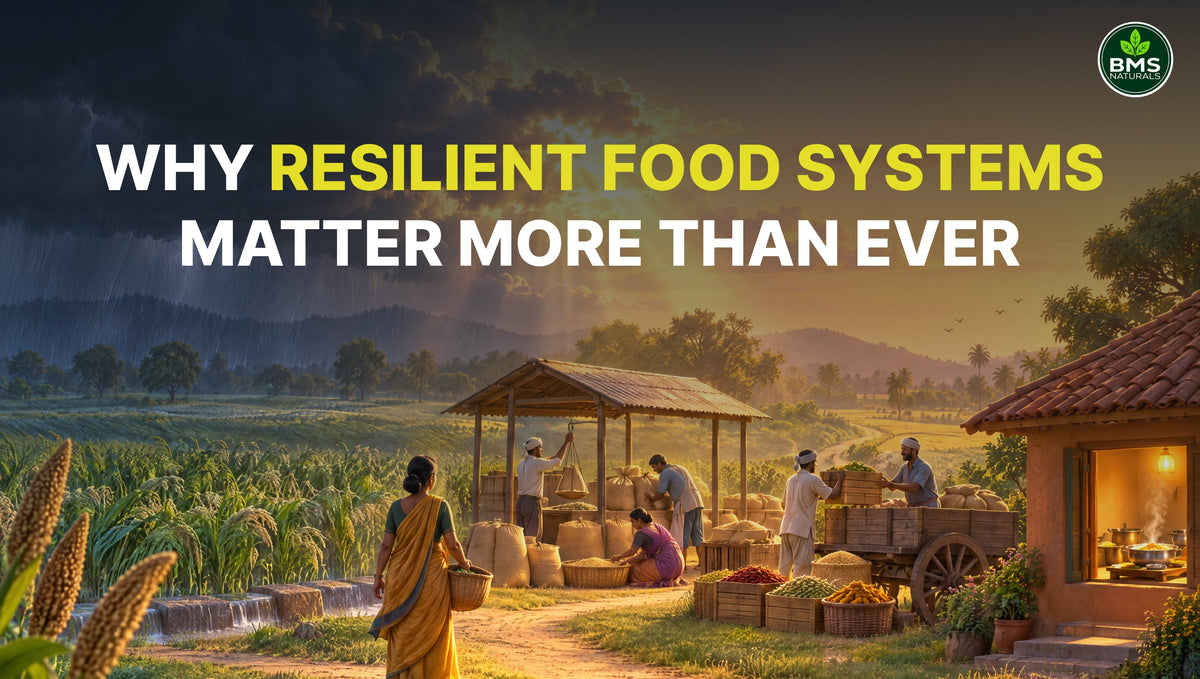 Food Security Amid Global Crisis: Why Resilient Food Systems Matter More Than Ever