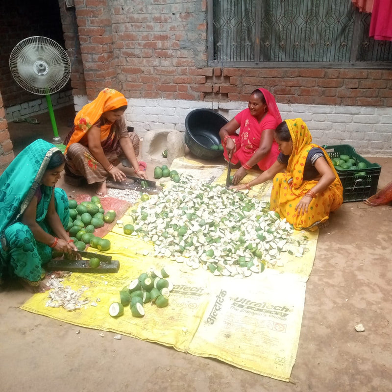 Sandeela Annadata Farmer Producer Company Ltd.