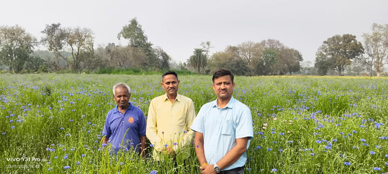 Biswan Annadata Agro Producer Company Limited