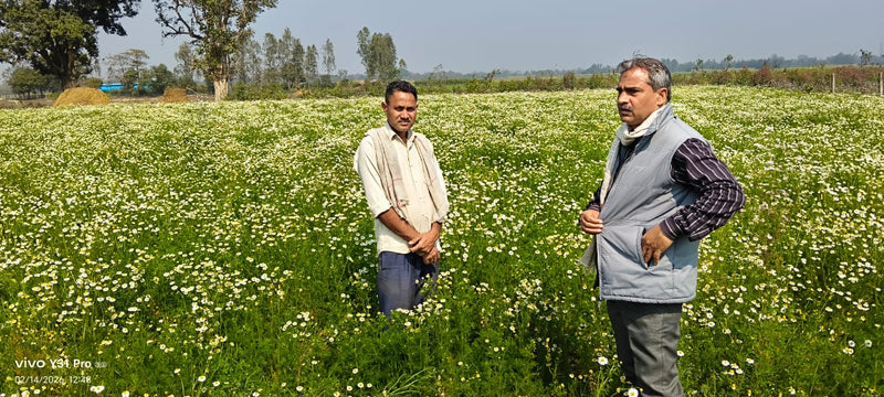 Biswan Annadata Agro Producer Company Limited
