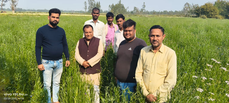 Biswan Annadata Agro Producer Company Limited