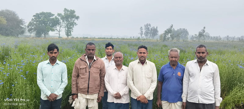 Biswan Annadata Agro Producer Company Limited