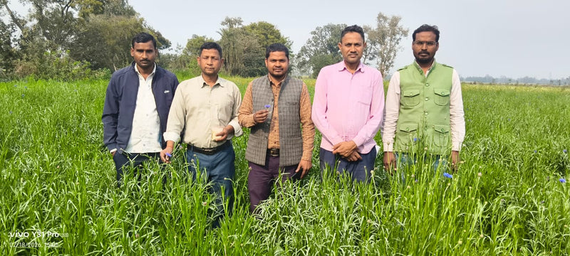 Biswan Annadata Agro Producer Company Limited