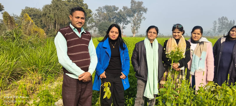 Biswan Annadata Agro Producer Company Limited
