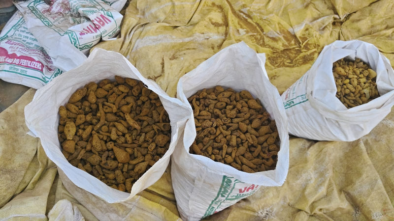 Bharawan Farmer Producer Company Limited